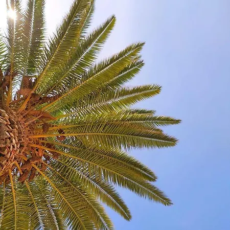 Aparthotel Borda D'agua