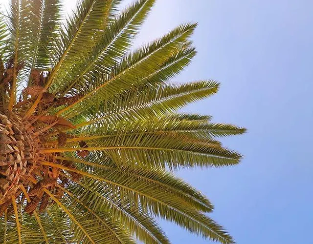 아파트호텔 Borda D'agua