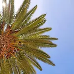 מלון דירות Borda D'agua